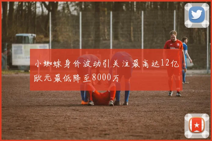 小蜘蛛身价波动引关注最高达12亿欧元最低降至8000万