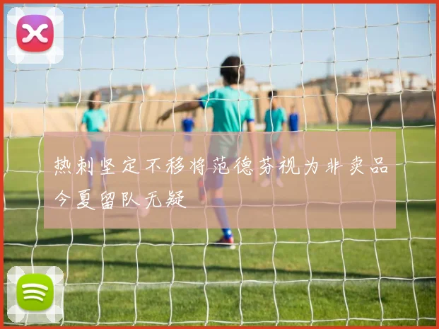 热刺坚定不移将范德芬视为非卖品今夏留队无疑