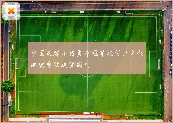 中国足球小将勇夺冠军祝贺少年们继续勇敢追梦前行